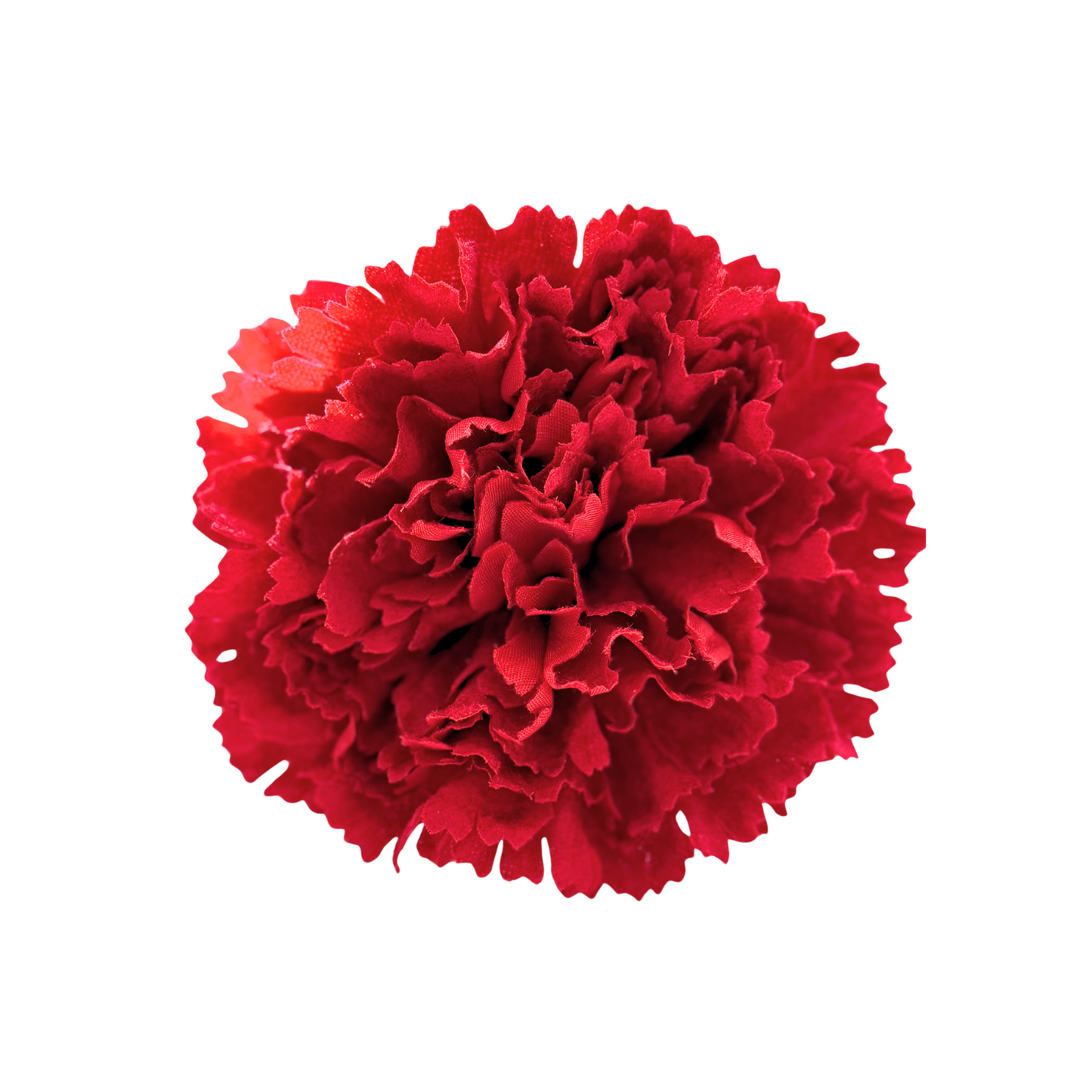 CLAVEL DE TERCIOPELO