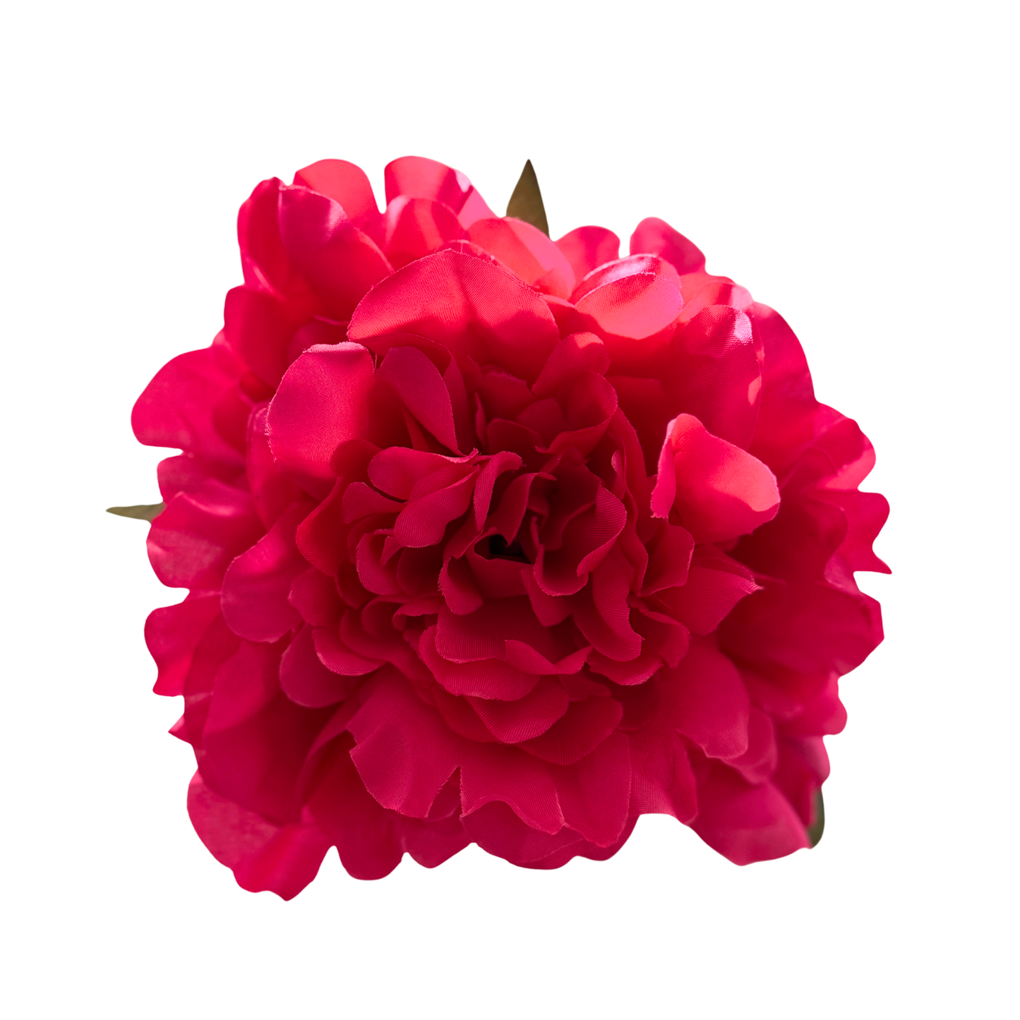 PEONIA