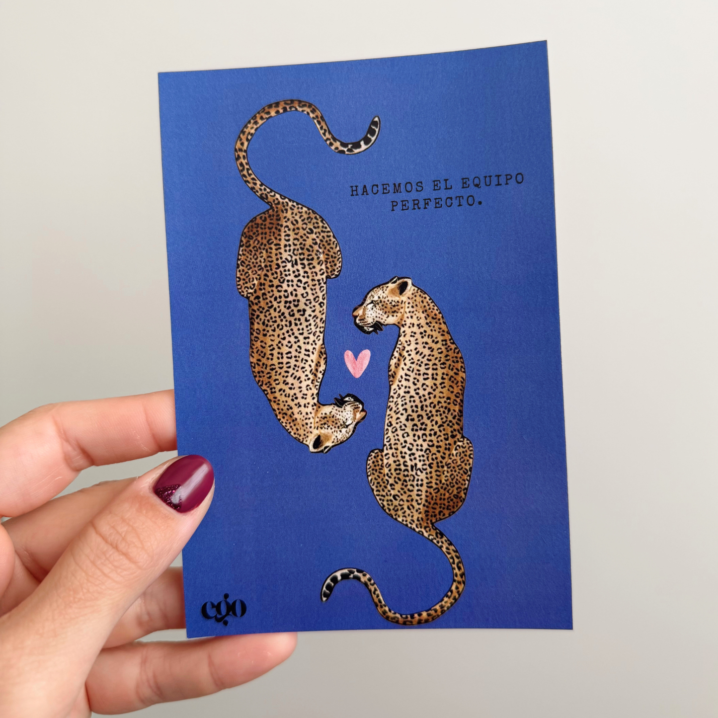 TARJETA EQUIPO PERFECTO