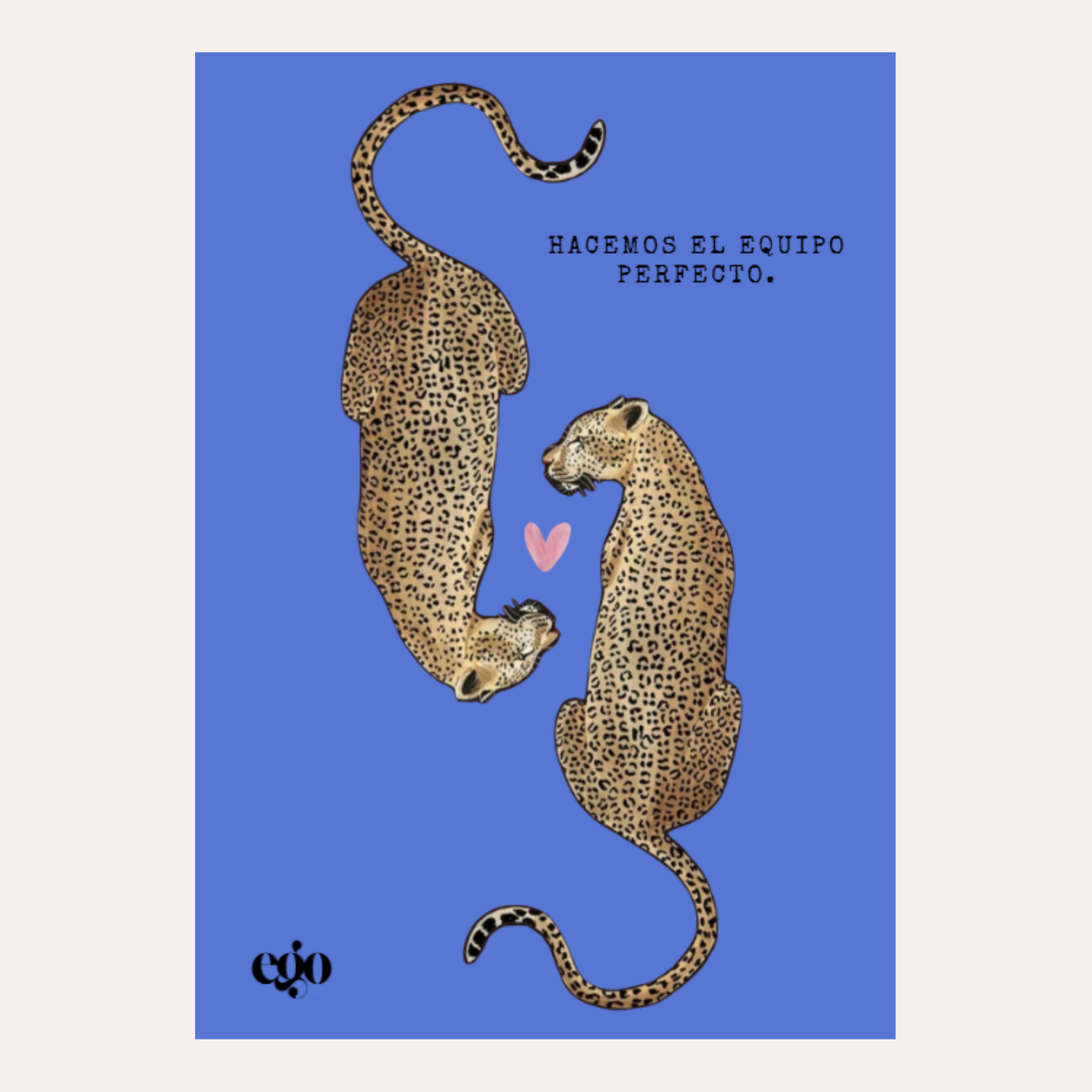 TARJETA EQUIPO PERFECTO