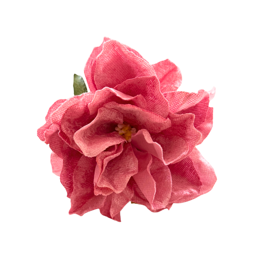 DALIA TERCIOPELO