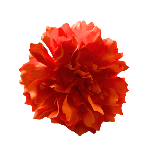 DALIA