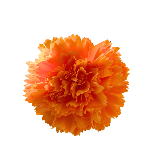 CLAVEL