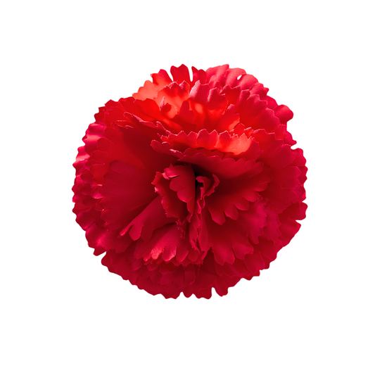 CLAVEL