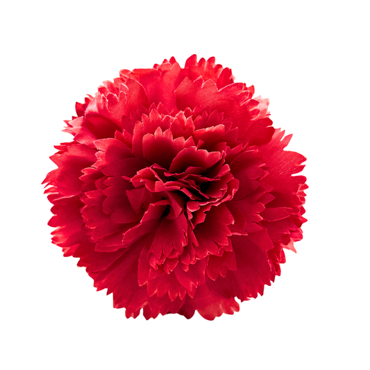 CLAVEL