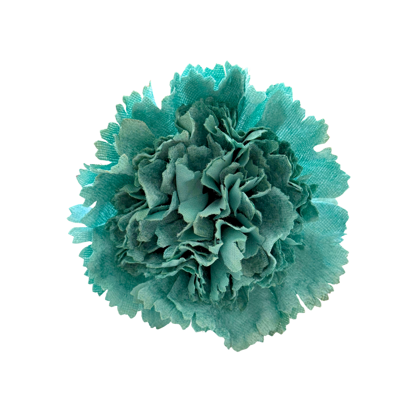 CLAVEL DE TERCIOPELO