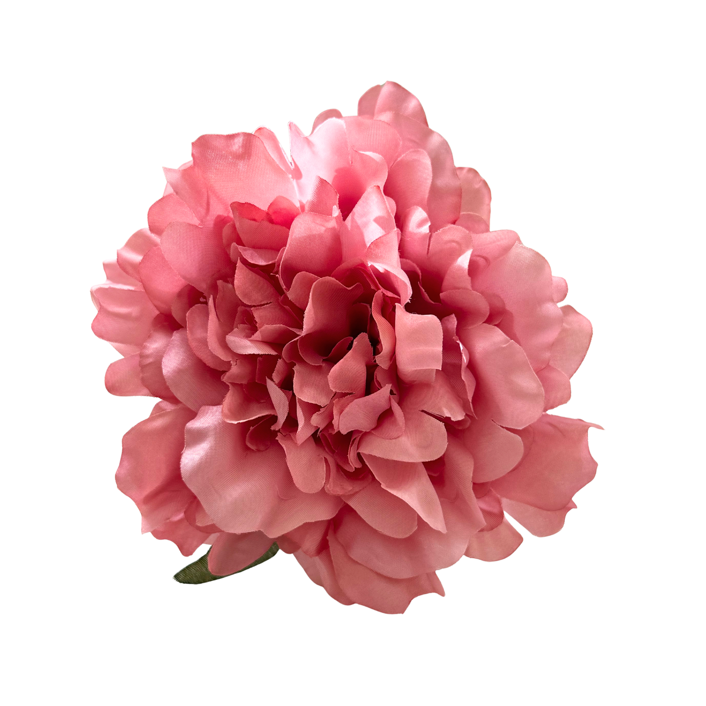 PEONIA