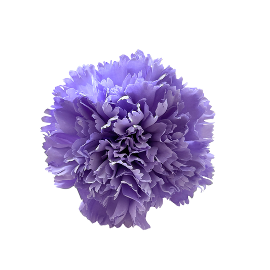 CLAVEL
