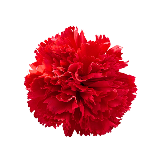 CLAVEL