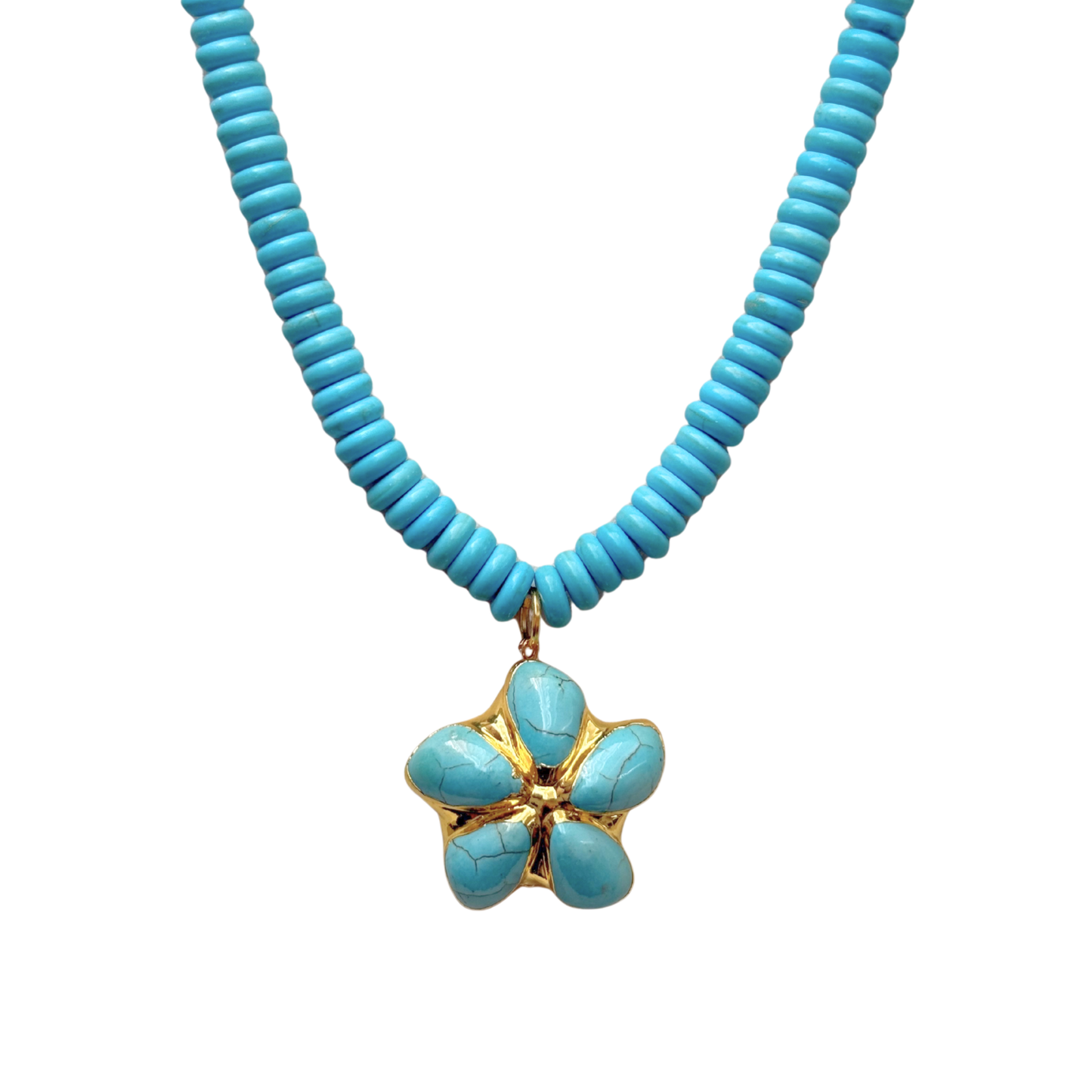 COLLAR INMA