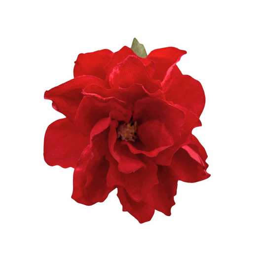 DALIA TERCIOPELO