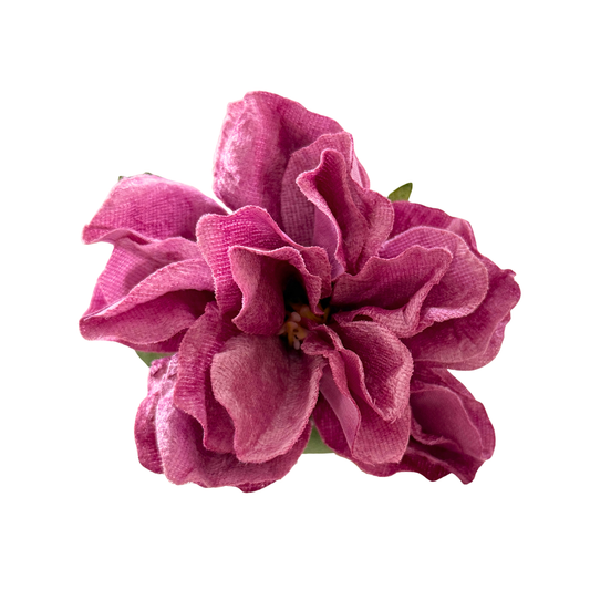 DALIA DE TERCIOPELO