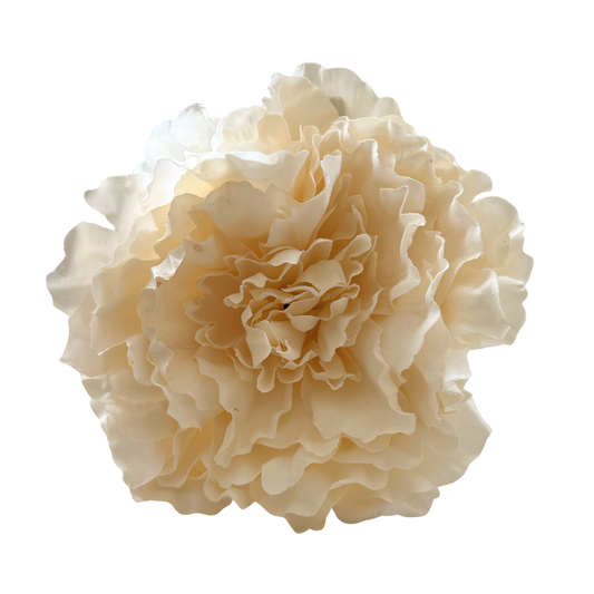 PEONIA